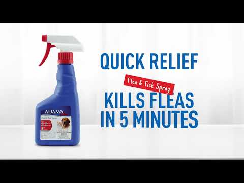 Adams Flea & Tick Spray video