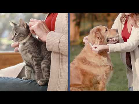 Adams flea and tick collar how-to video