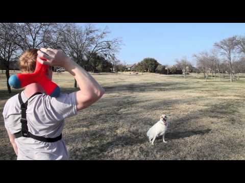 Chuckit! Amphibious Tri-Bumper Fetch Toy