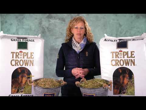 Horse Feed Experts on Triple Crown chopped forages