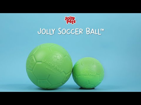 Jolly Pets Jolly Soccer Ball Dog Toy