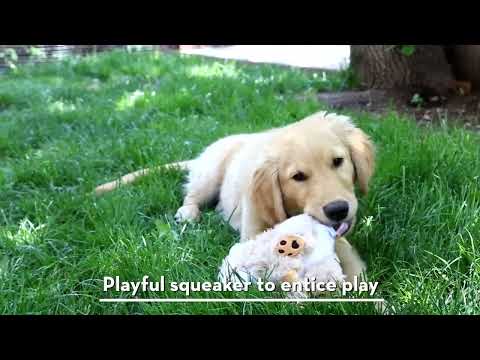 KONG Comfort Kiddos Jumbo Elephant Dog Toy