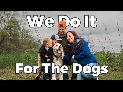 Alpha Dog Nutrition Resurgence Hydration & Recovery Supplement for Dogs 3.7 oz -- video