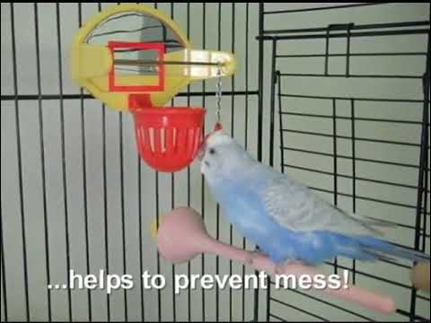JW Sand Bird Perch product video