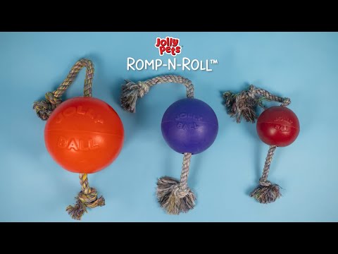 Jolly Pets Romp-n-Roll Dog Toy
