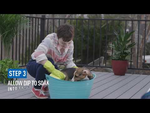 Adams Plus Pyrethrin Dip how-to video