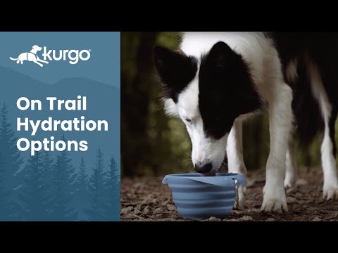 Kurgo hydration options on the trail