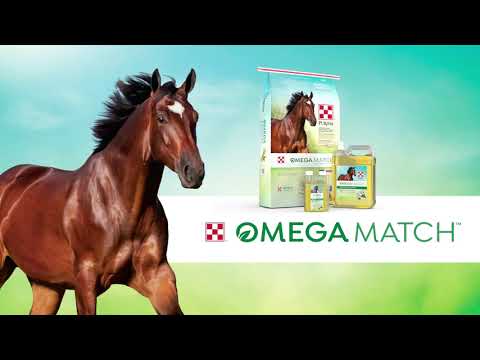 Purina Omega Match Ahiflower Oil Supplement product video