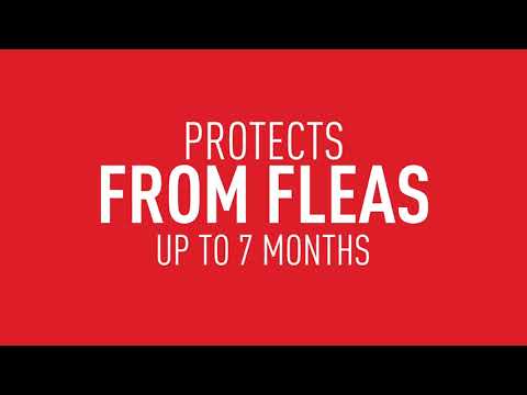 Adams Plus Flea and Tick Indoor Fogger product video