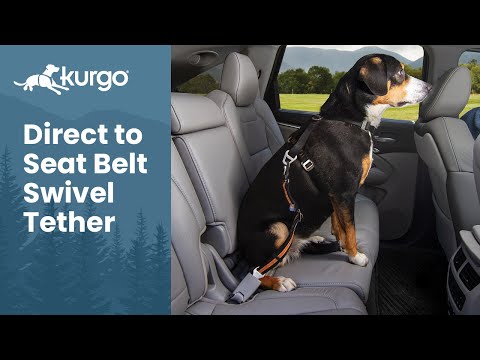 Kurgo Direct to Seatbelt Swivel Tether overview