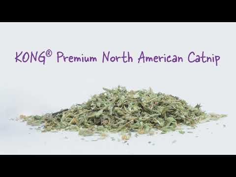 KONG Naturals Catnip video