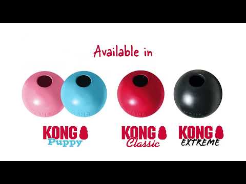 KONG Classic Ball Dog Toy