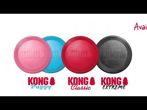 KONG Extreme Flyer Dog Toy
