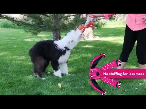 KONG Floppy Knots Elephant Dog Toy