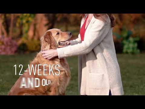 Adams flea and tick collar video