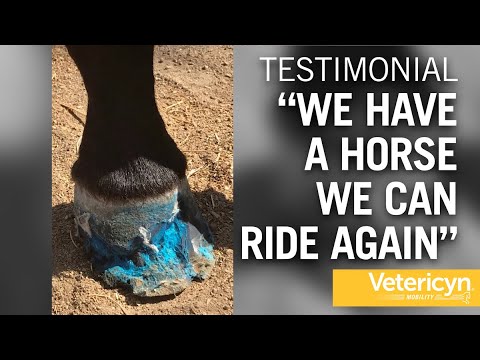 Vetericyn Mobility Hoof Care product video