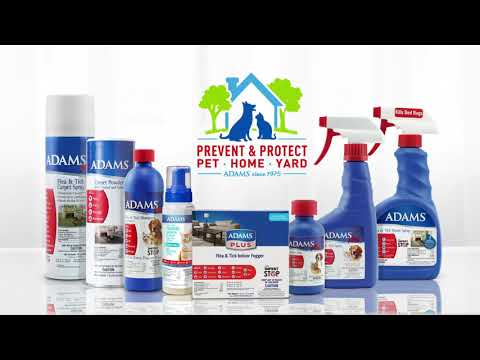 Adams brand video