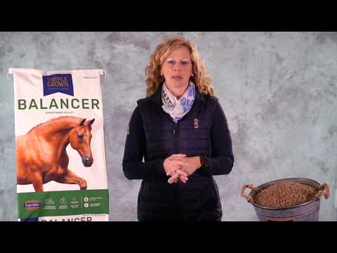 Horse Feed Experts explain Triple Crown 30% Ration Balancer