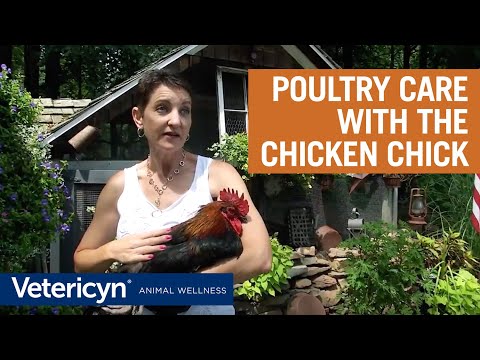Vetericyn Plus Antimicrobial Poultry Care product video
