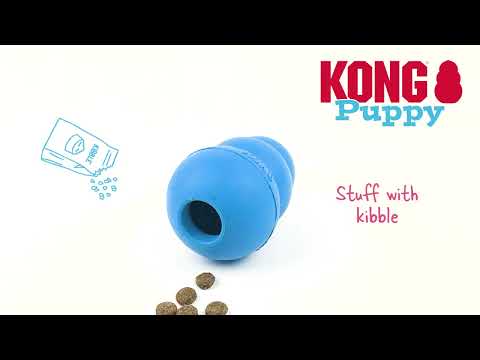 KONG Classic Puppy Line product video