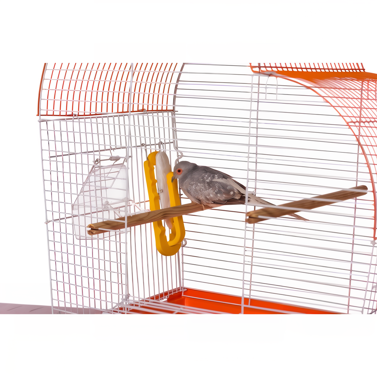 Cuttlebone holder clipped to a bird cage with a finch perched nearby