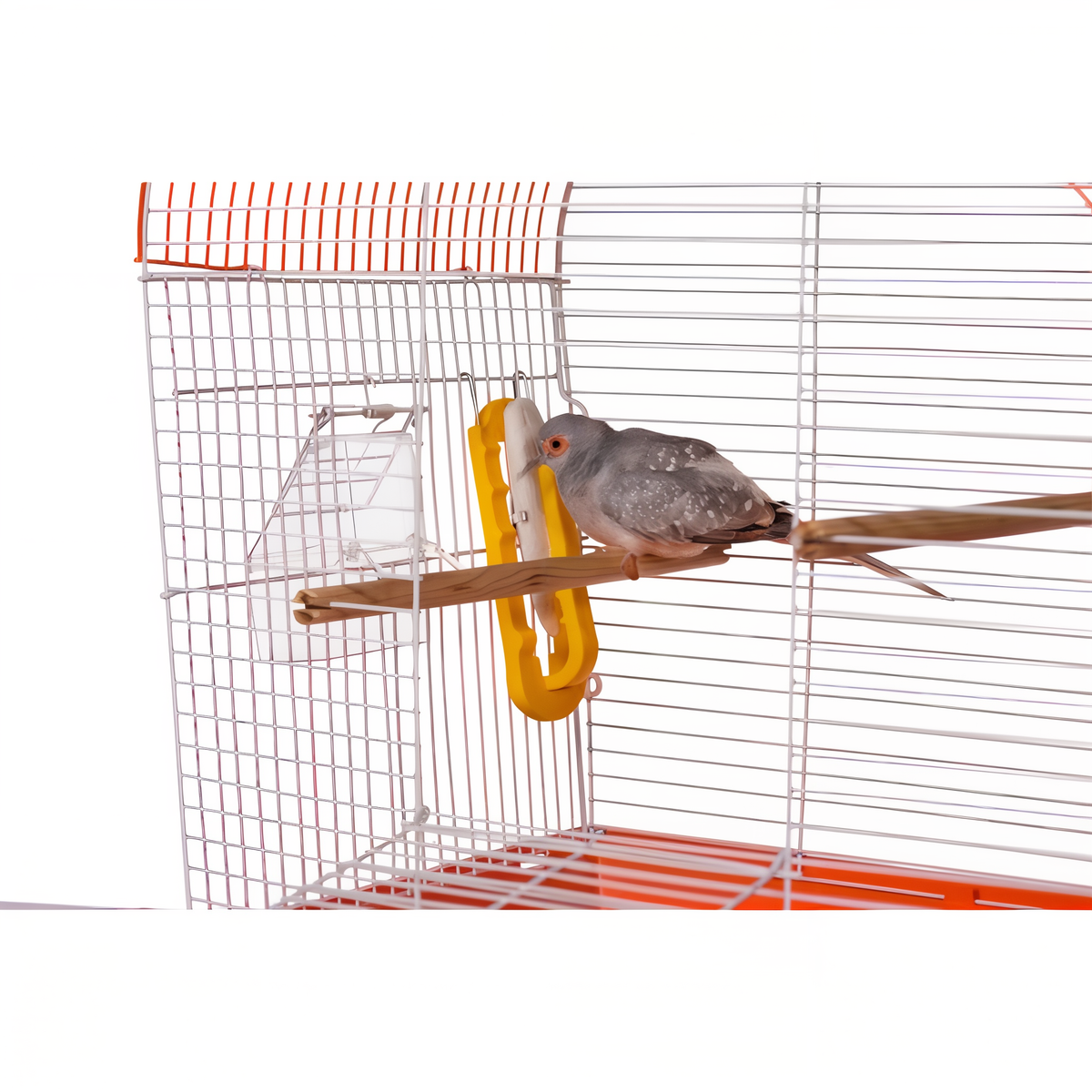 Yellow treat holder mounted on cage wire holding a perch