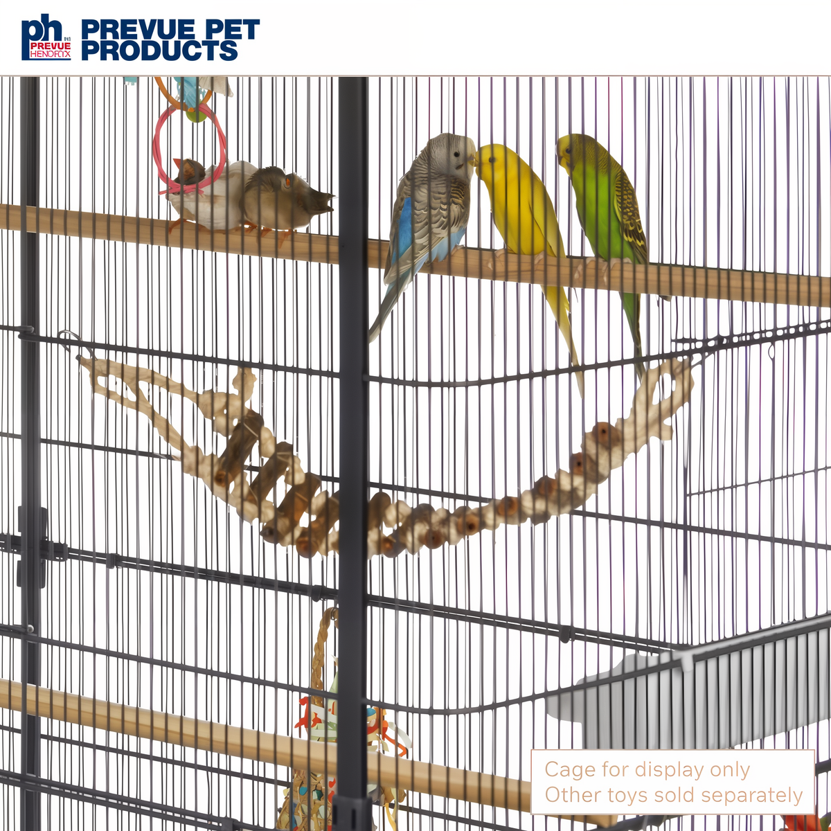 Budgies resting on the rope ladder hung as a swing