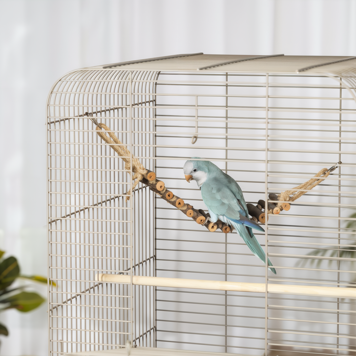 Parrotlet climbing the rope ladder bridge in a cage