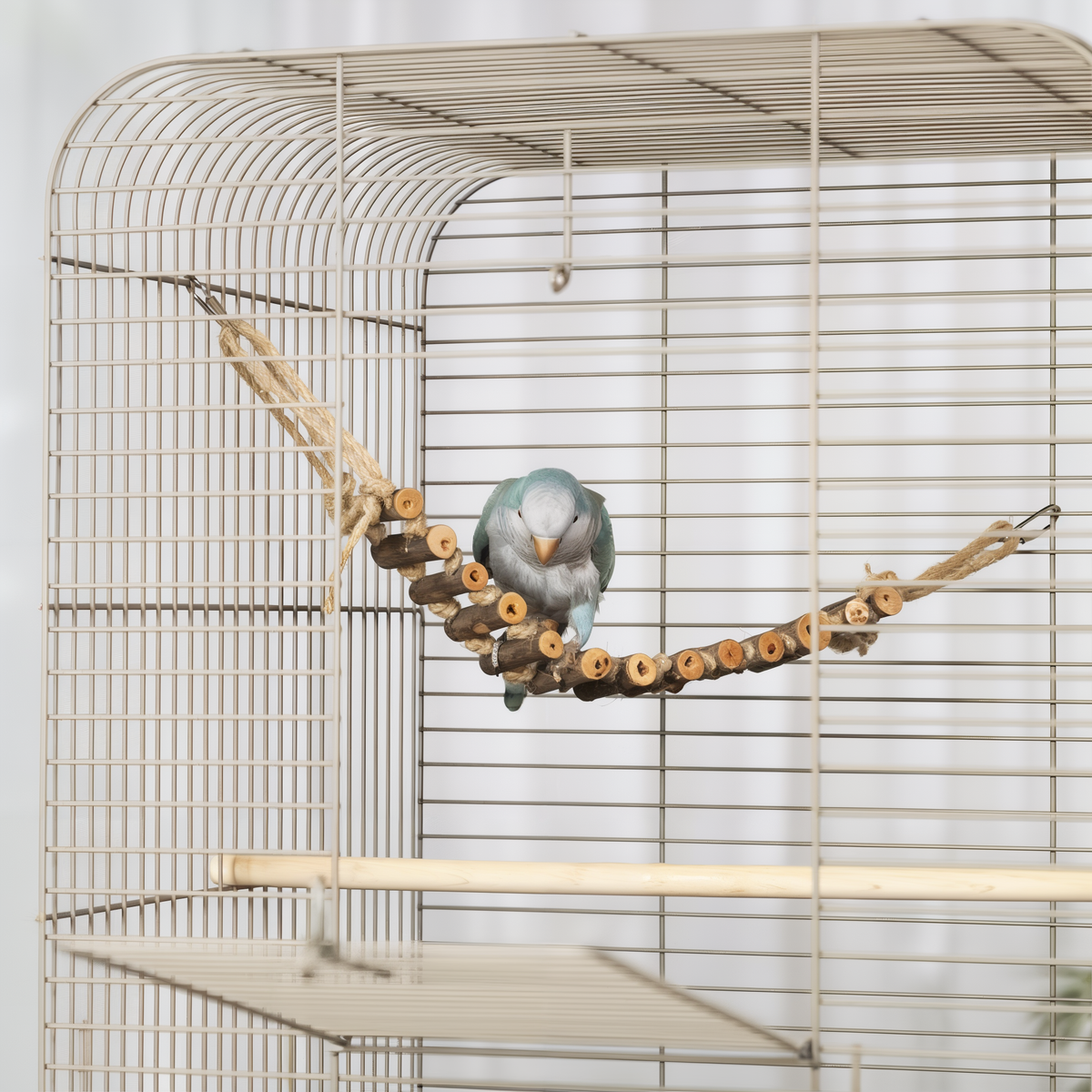 Bird perched on the rope ladder spanning a cage