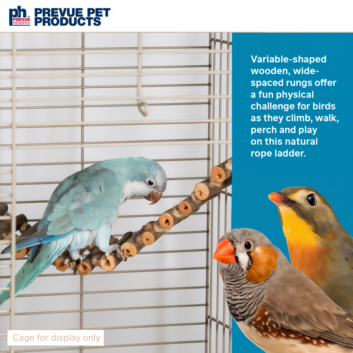 Panel showing the rope ladder used by birds as climb walk and perch challenge