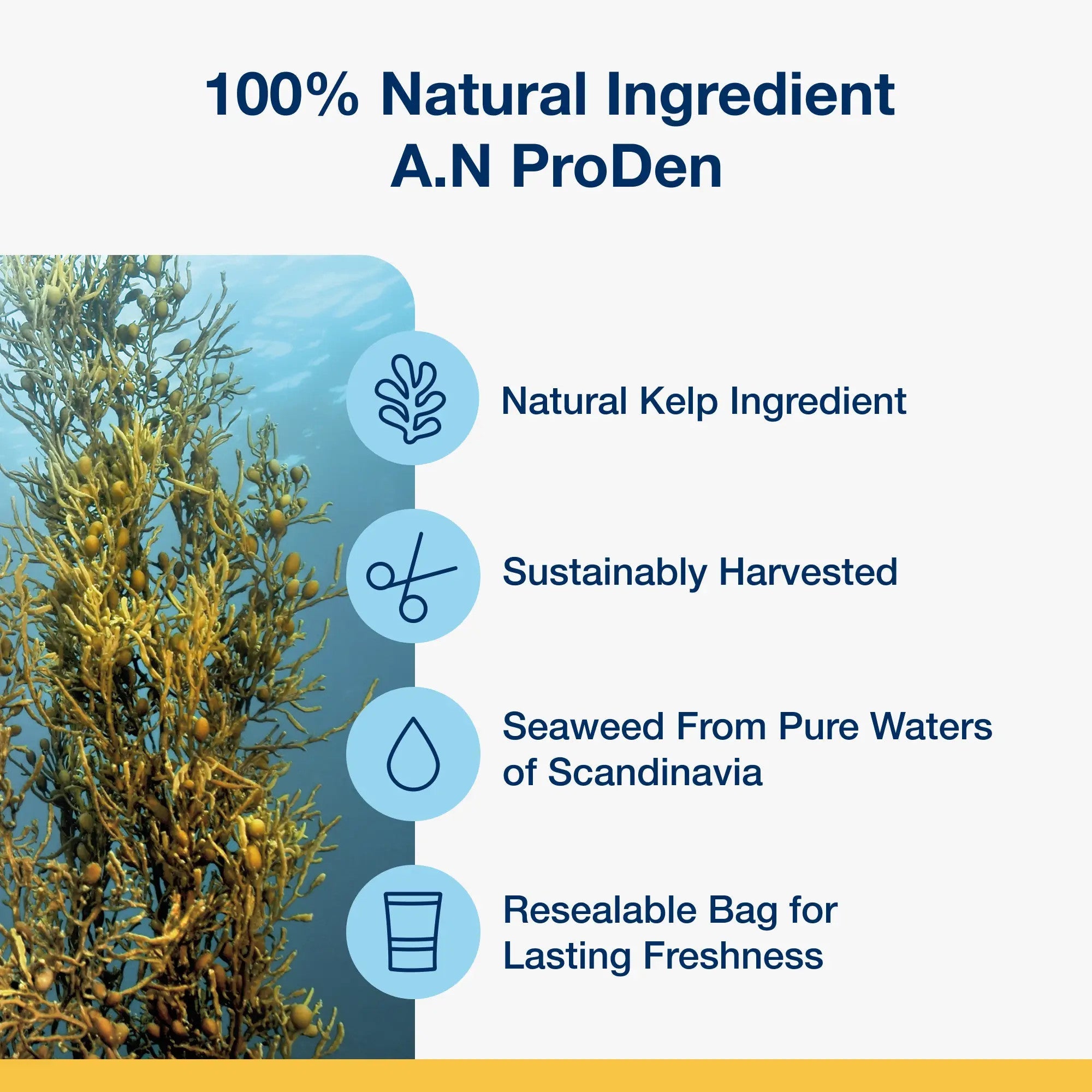 100 percent natural A.N ProDen kelp sustainably harvested in Scandinavia
