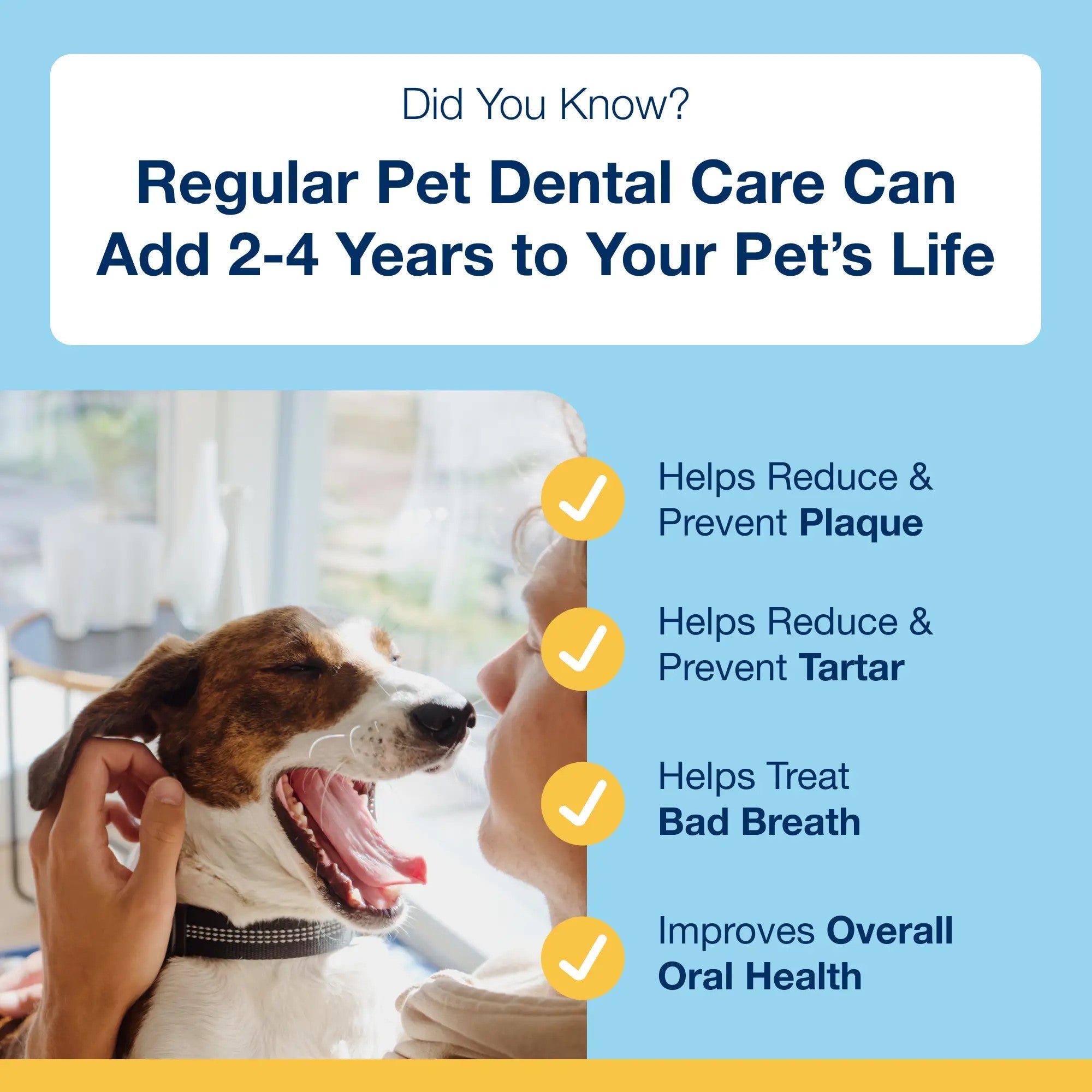 Regular pet dental care can add 2 to 4 years to your pet's life by reducing plaque, tartar, and bad breath
