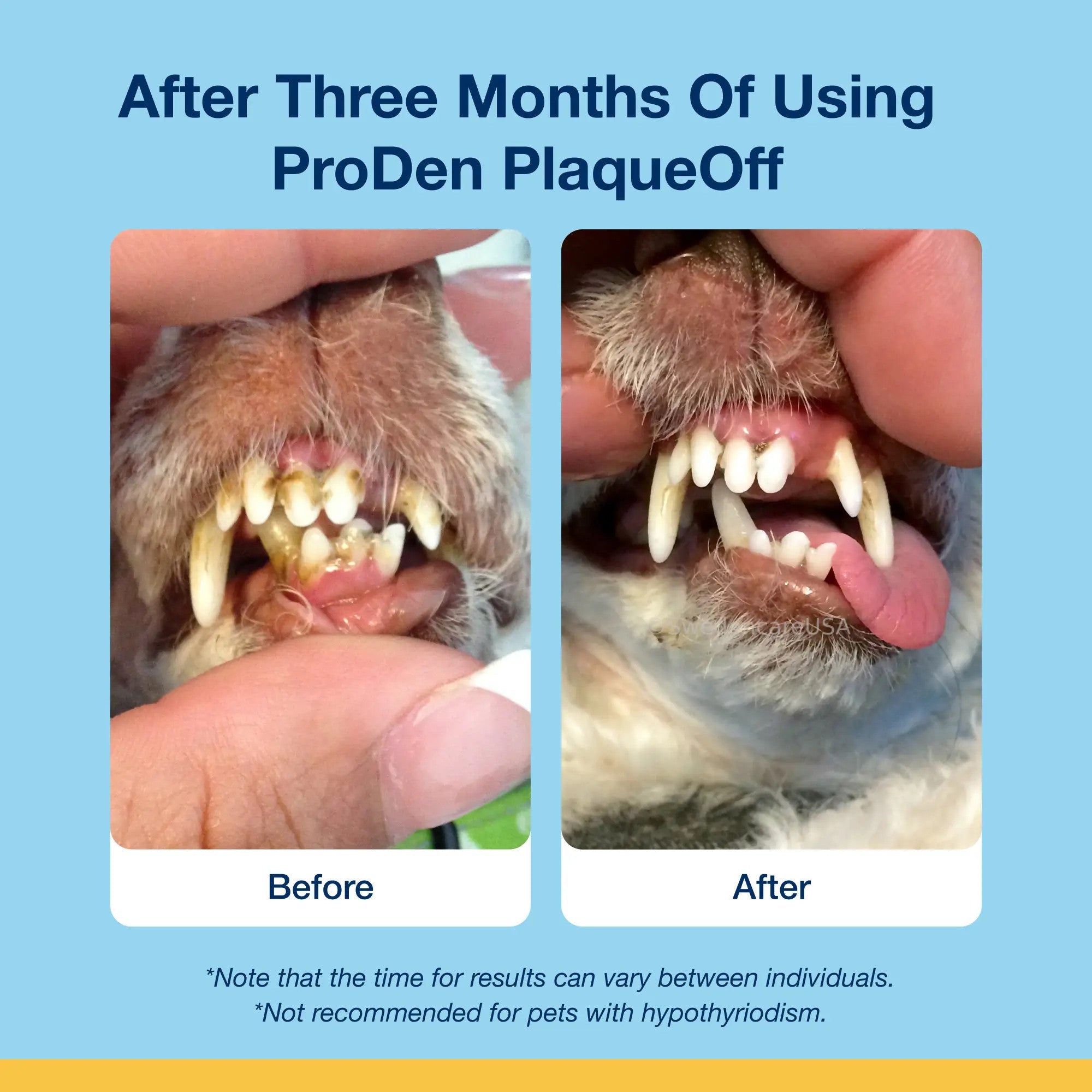 Before and after three months of using ProDen PlaqueOff