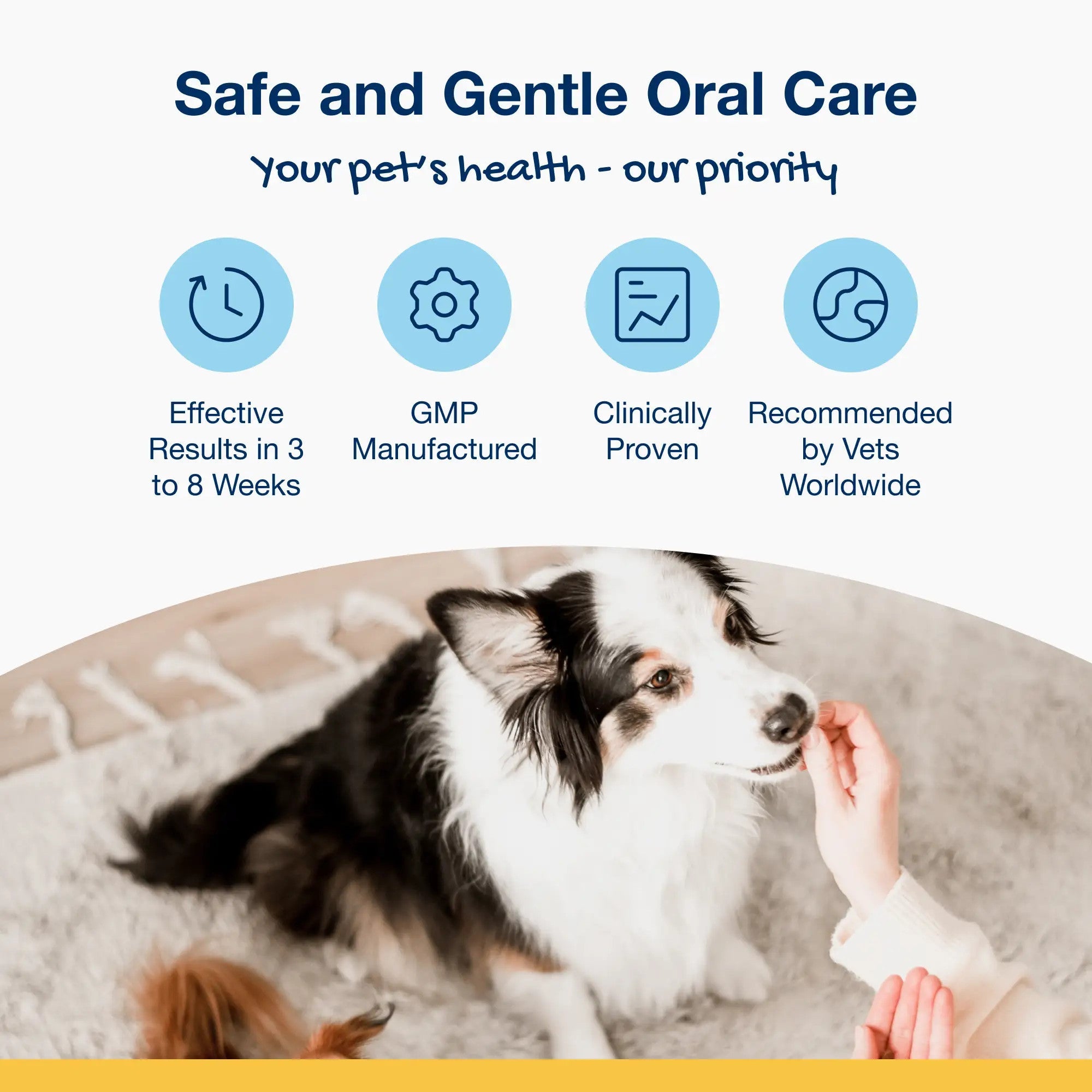 Safe and gentle oral care: effective results in 3 to 8 weeks, GMP manufactured, clinically proven