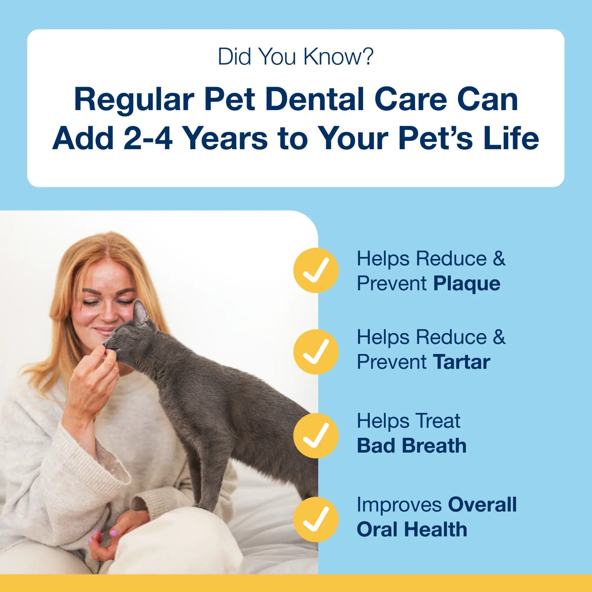 Panel explaining how regular dental care with ProDen PlaqueOff Cat Soft Chews supports overall oral health