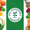 Nutro Wholesome Essentials Adult Dry Cat Food Salmon & Brown Rice Recipe
