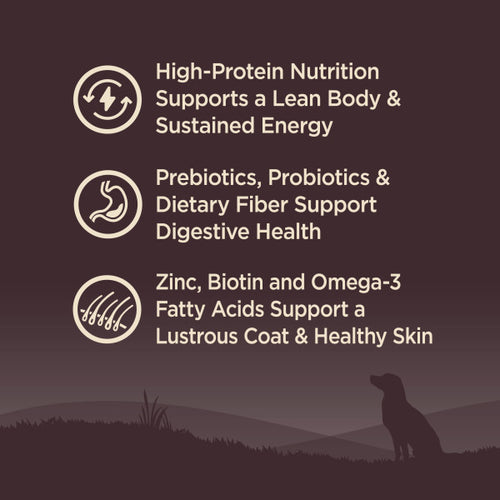 Wellness CORE Grain Free Lamb Dog Food