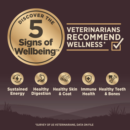 Wellness CORE Grain Free Lamb Dog Food