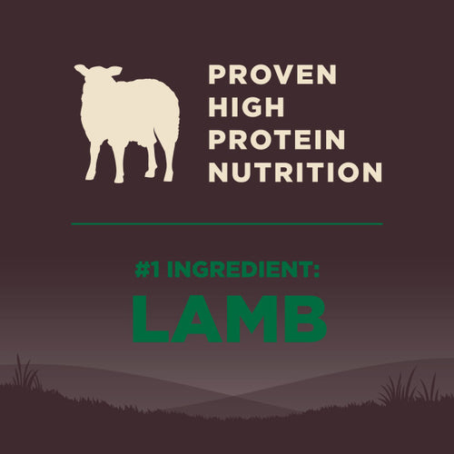 Wellness CORE Grain Free Lamb Dog Food