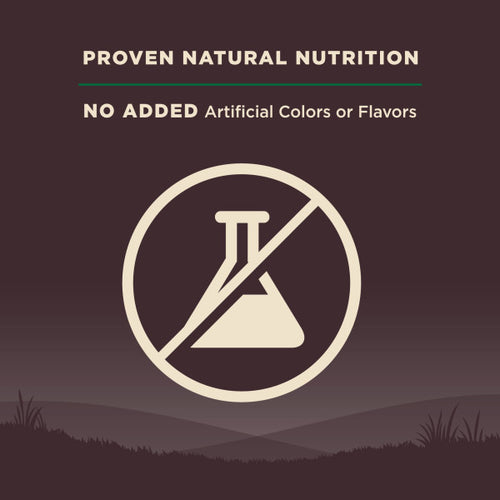 Wellness CORE Grain Free Lamb Dog Food