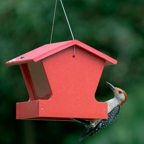 Birds Choice Small Hopper Feeder in Red Recycled Plastic