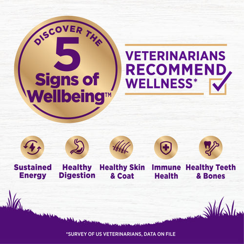 Wellness Complete Health Natural Adult Grain Free Deboned Chicken and Chicken Meal Recipe Dry Dog Food