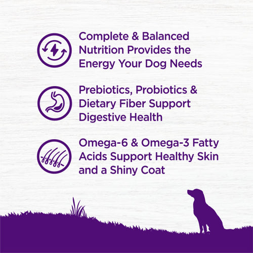 Wellness Complete Health Natural Adult Grain Free Deboned Chicken and Chicken Meal Recipe Dry Dog Food
