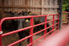 Tarter Bullmax HD Round Corner Gate