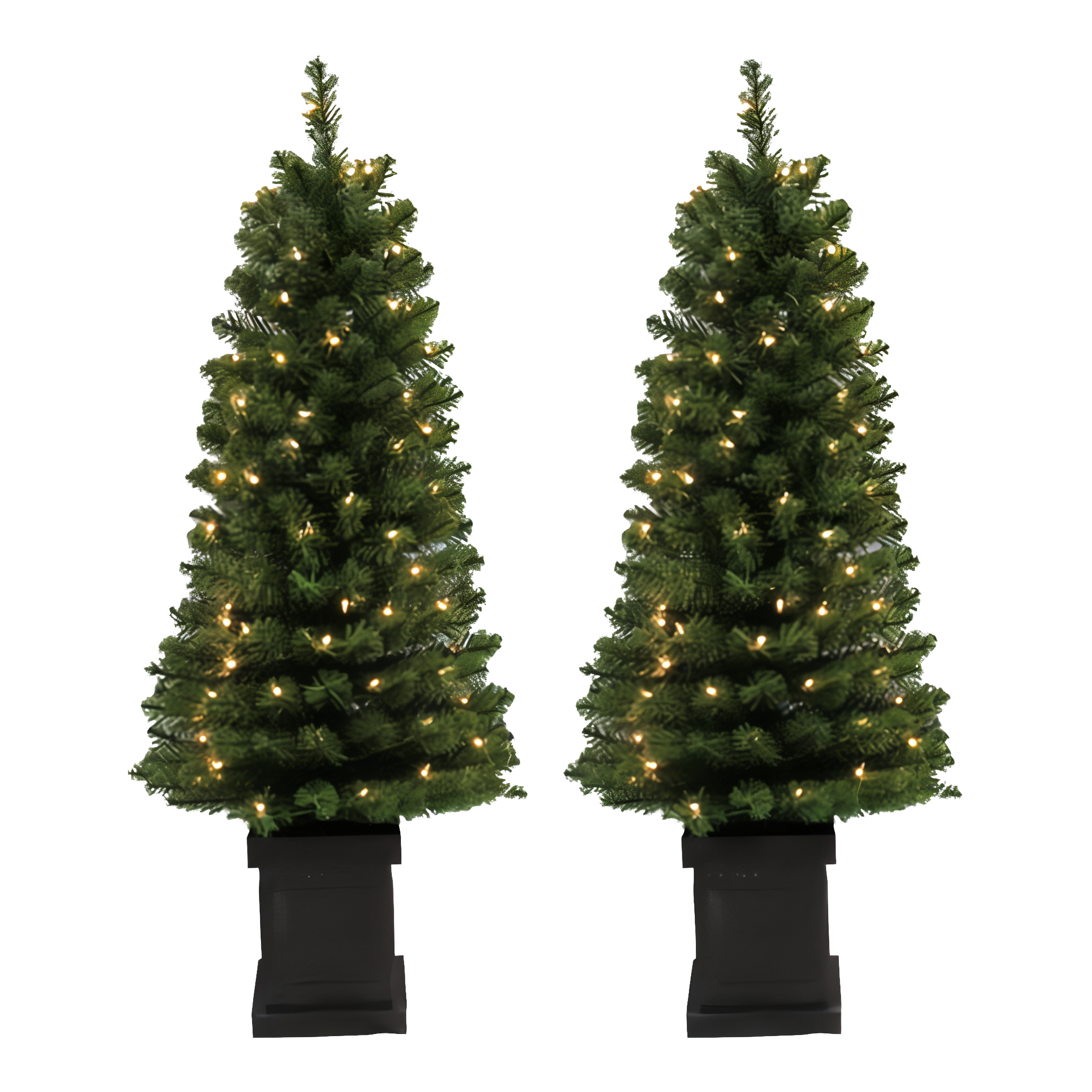 Christmas Prelit Canadian Douglas Fir Trees