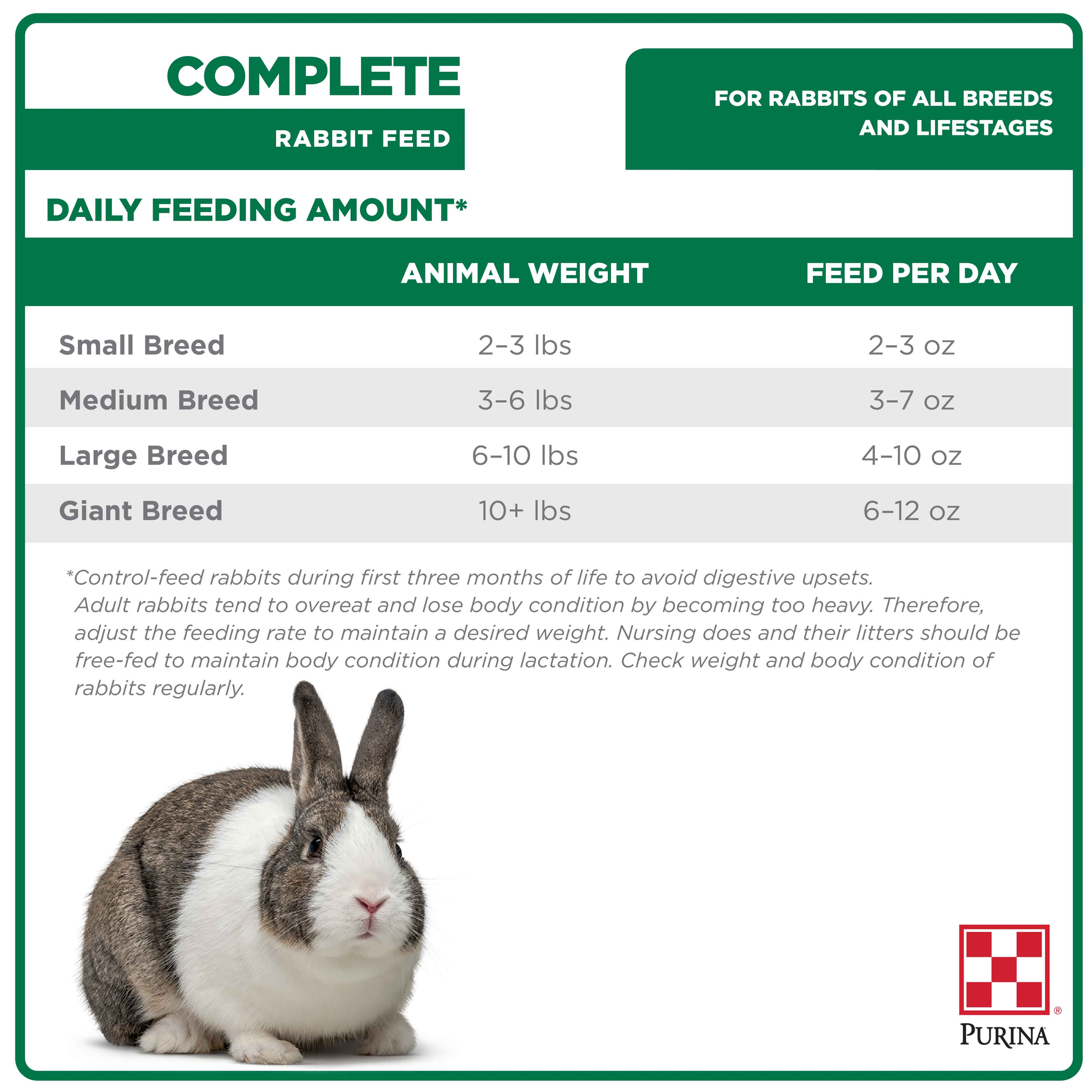 Complete Rabbit Feed daily feeding amount chart by rabbit breed size