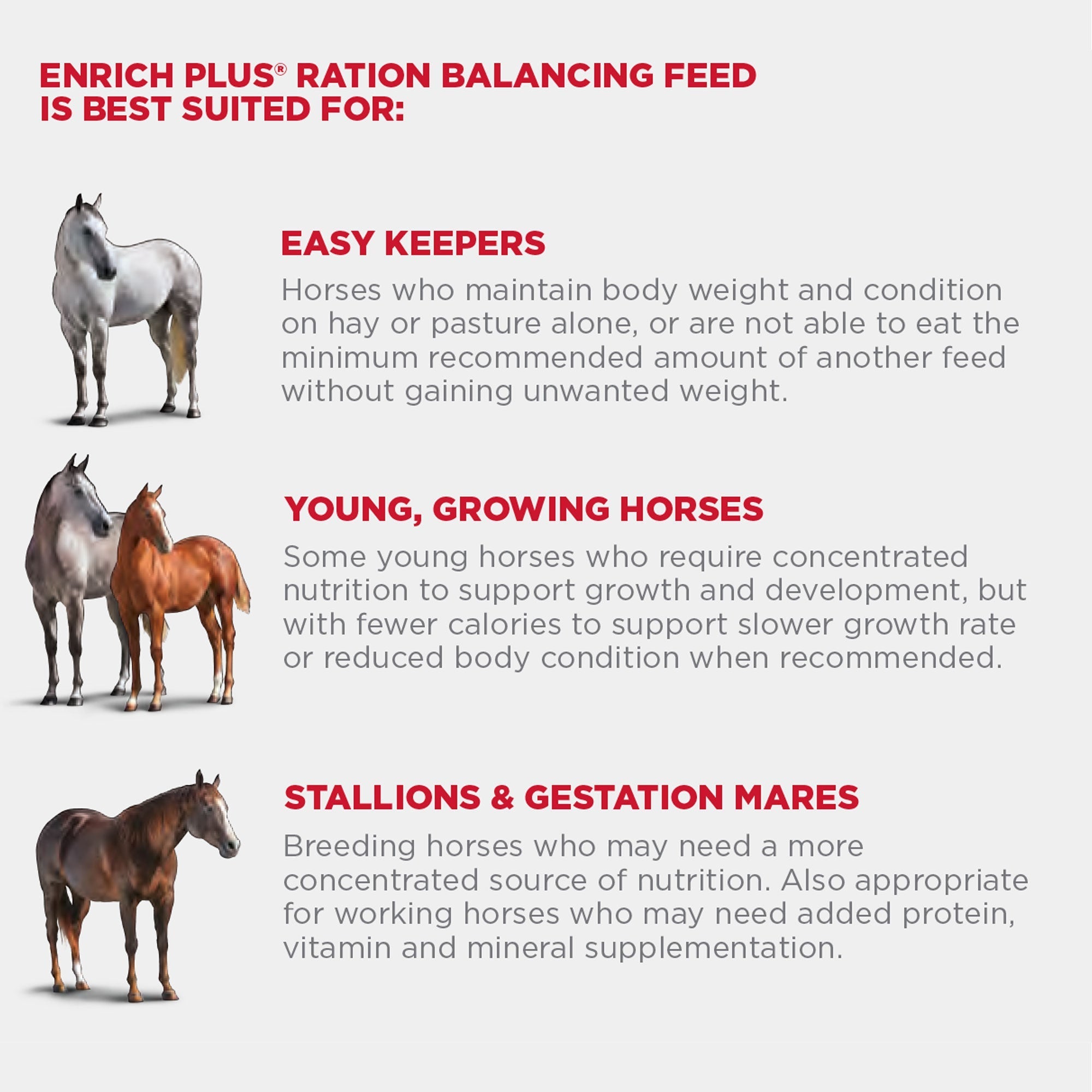 Chart showing Purina Enrich Plus suits easy keepers, growing horses, stallions and gestating mares