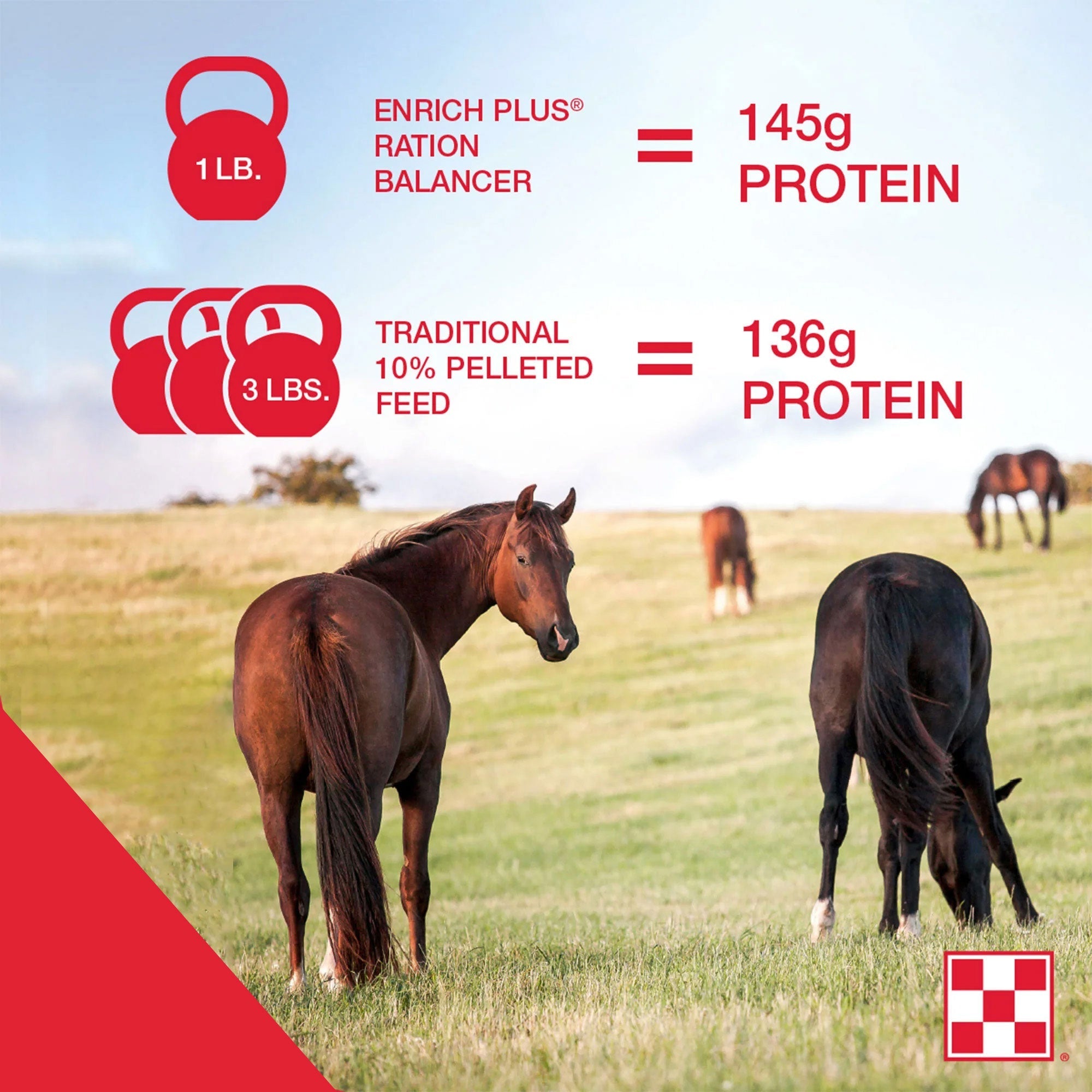 Comparison graphic: 1 lb of Enrich Plus supplies 145 g protein versus 136 g from 3 lb of traditional feed