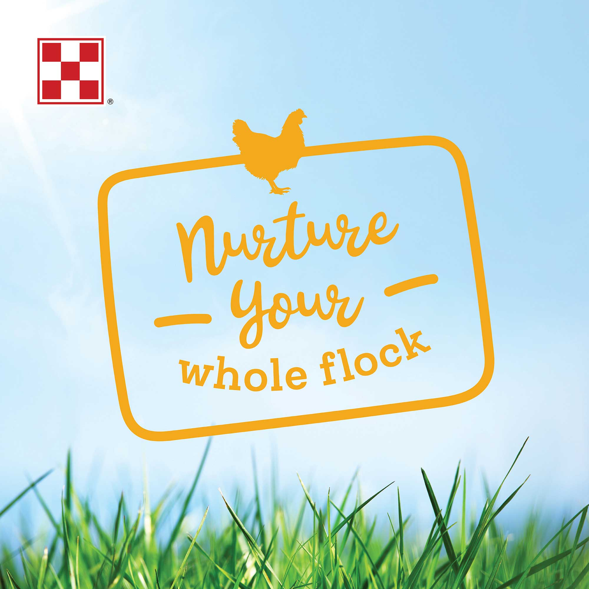 Purina Farm to Flock - nurture your whole flock