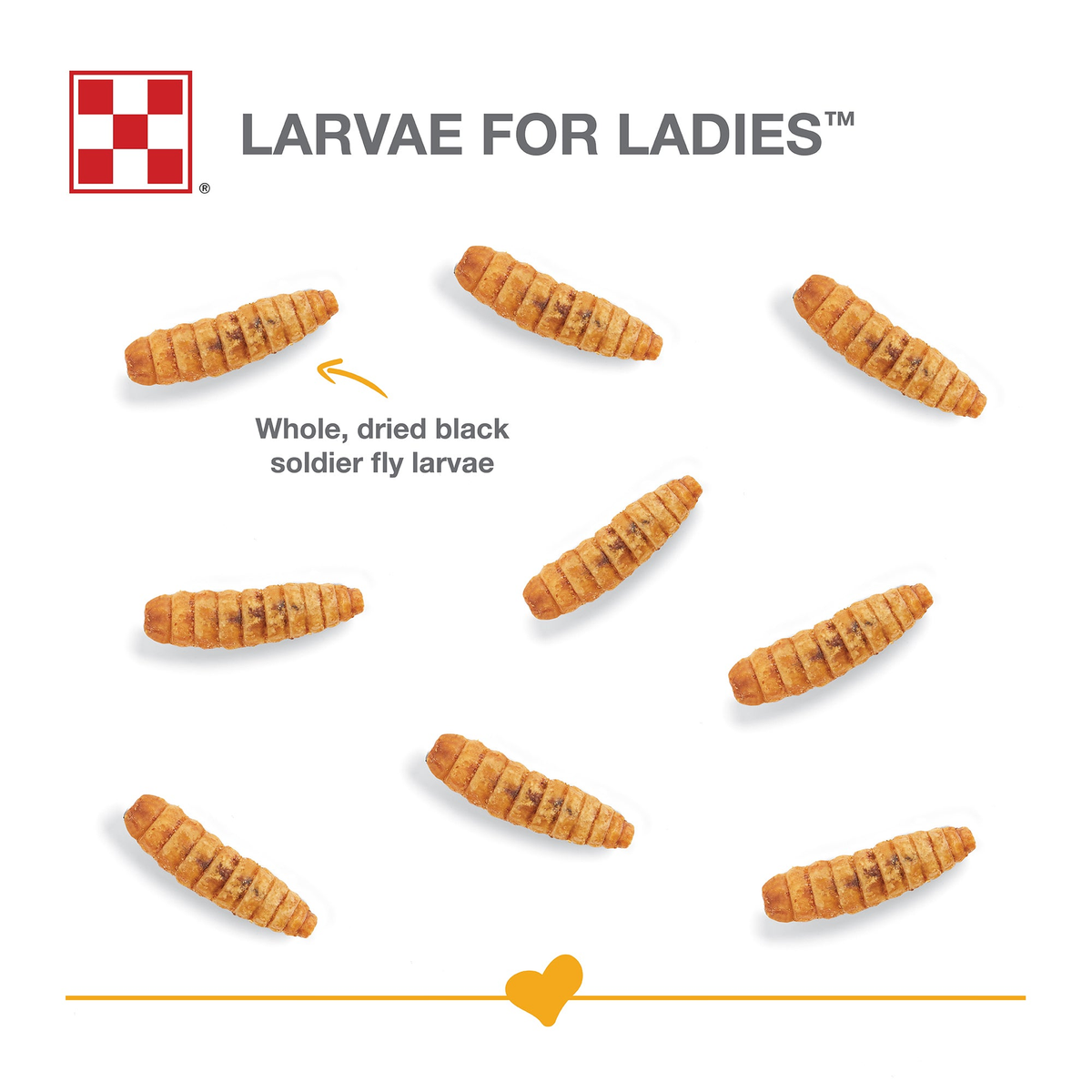 Whole dried black soldier fly larvae, the single ingredient in Larvae for Ladies